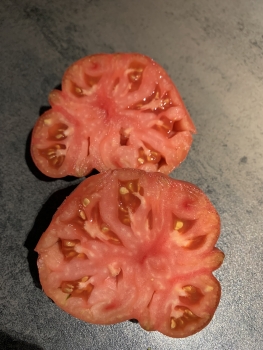 Preview: American Ripped Black