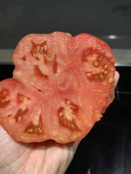 American Ripped Black