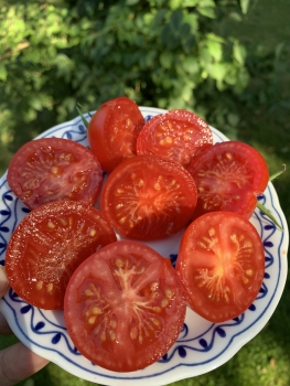 Preview: Brigittes Rote 22