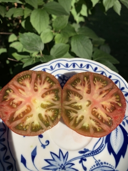 Preview: Chocolate Amazonka