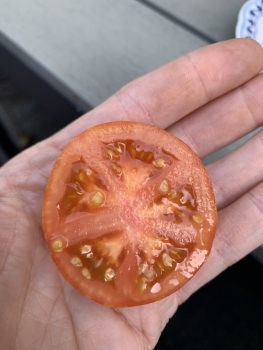 Preview: Dean‘s Brad Gates varigated