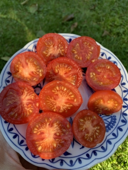 Preview: Roter Heinz