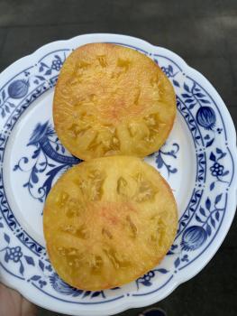 Preview: Livingston Golden Queen