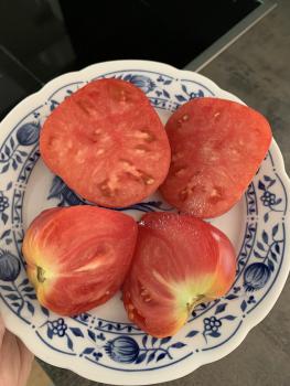 Preview: Rosen Honig