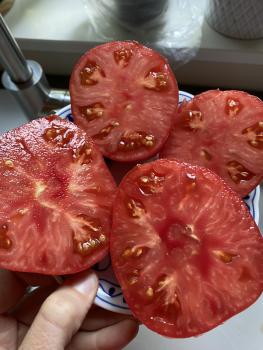 Preview: Grosse Lisse