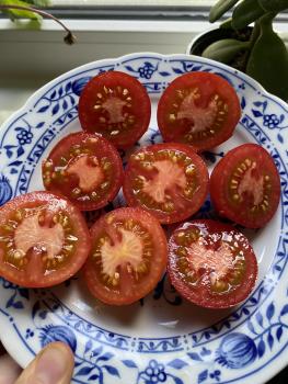 Preview: Early Sunrise