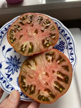 Preview: Dwarf Tasmanian Chocolate