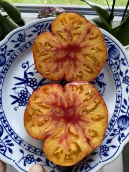 Preview: Burrakers Favorite