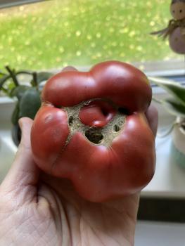 Akers West Virginia Black