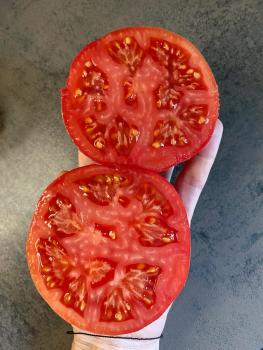 Preview: Die typisch roten….