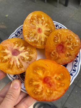 Preview: Big Rainbow