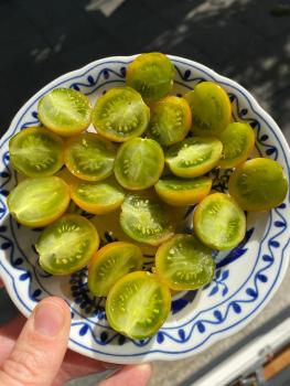 Preview: Green Grape / Raisin Vert