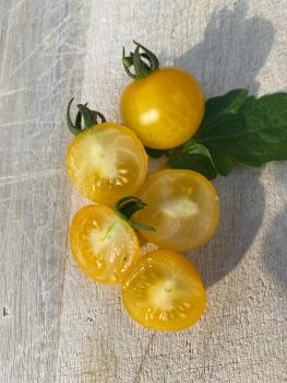 Preview: Balconi Yellow