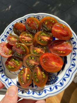 Preview: Cookie Select