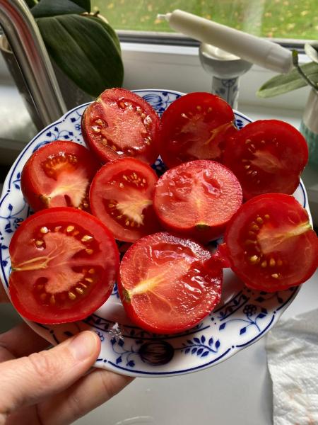 Sue‘s Little Red Heart