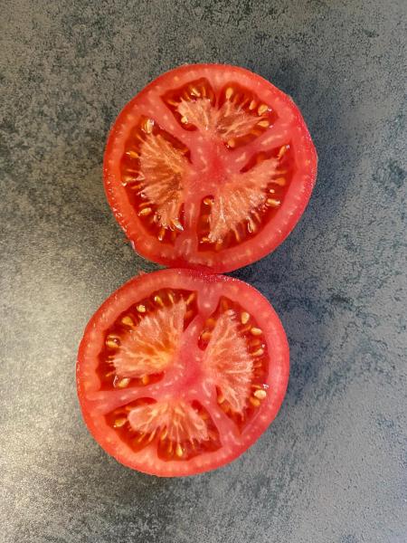 Livingston Rosy Morn