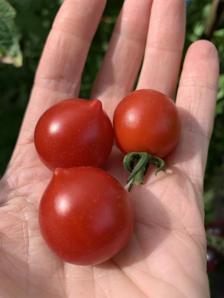 Kleine Nase Omi Gerti