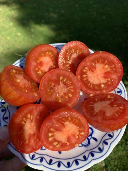 Großmutters Bauertomate