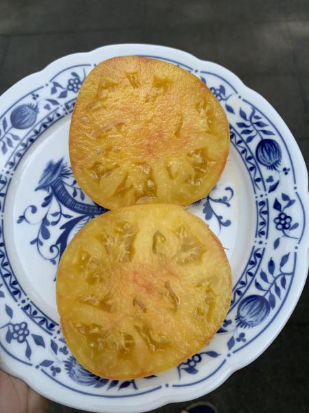 Livingston Golden Queen