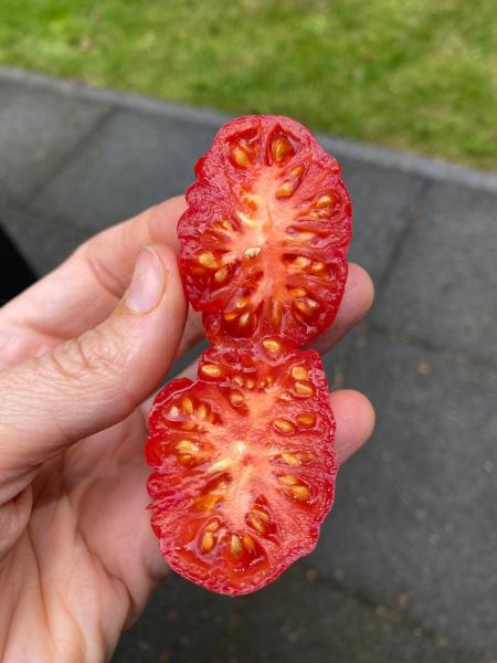 Kleeblatt von Togo  ( Trefele du Togo )