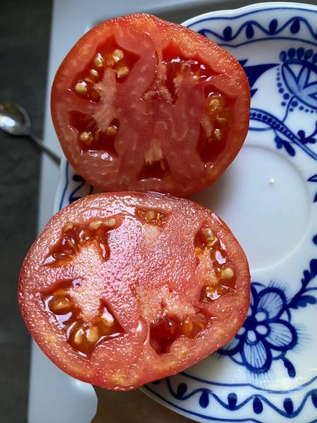 Livingston Honor Bright